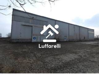 Capannone all'asta a terranova dei passerini via gulf italiana, 4