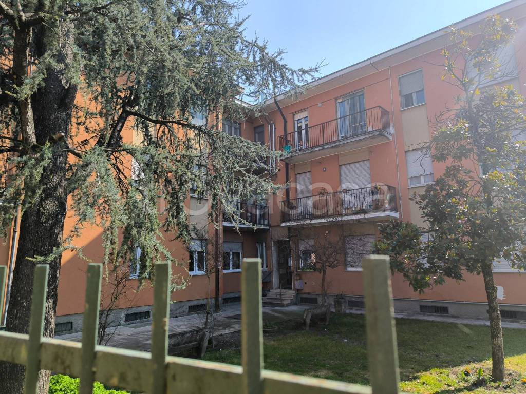 immagine annuncio 1 di 15