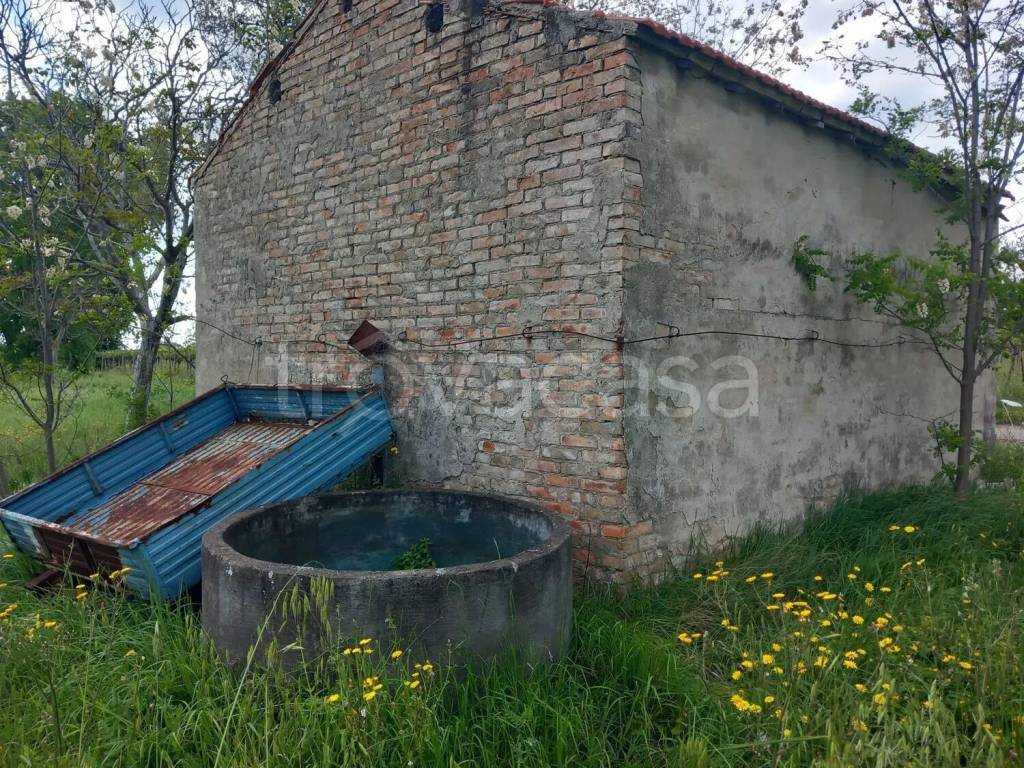 immagine annuncio 2 di 6