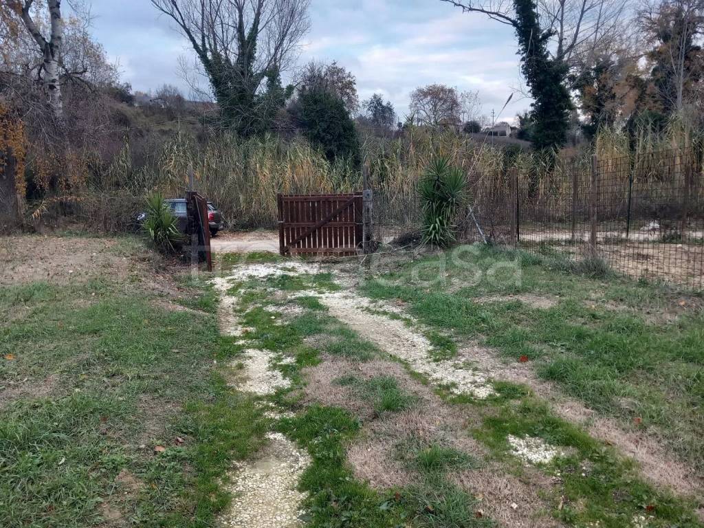 immagine annuncio 2 di 6
