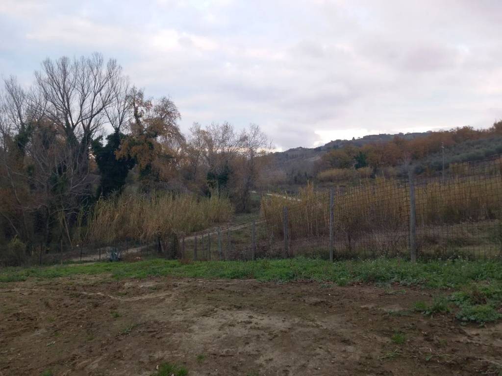 immagine annuncio 3 di 6