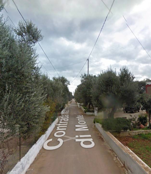 immagine annuncio 1 di 13