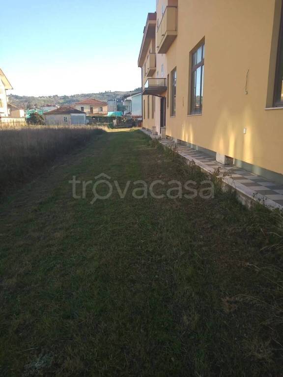 immagine annuncio 2 di 3