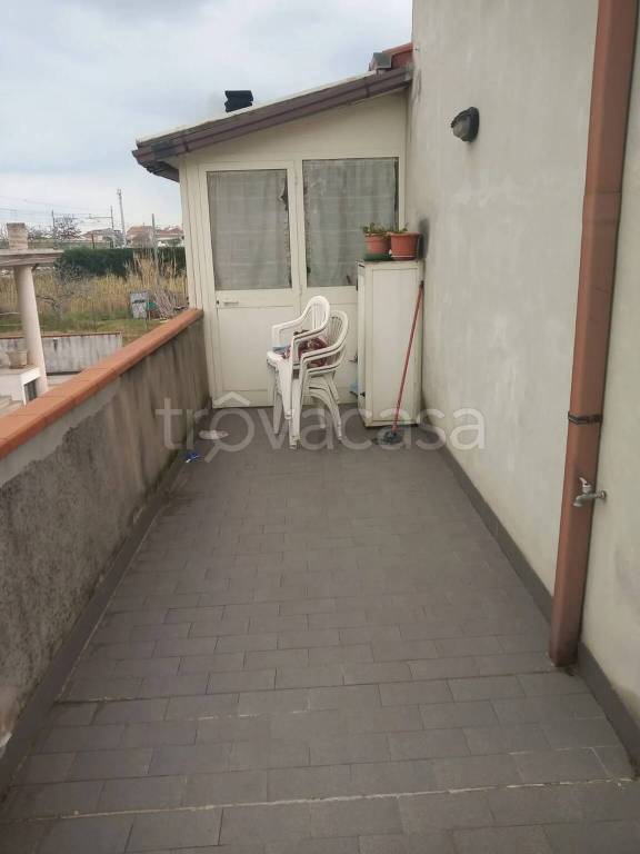 immagine annuncio 5 di 14