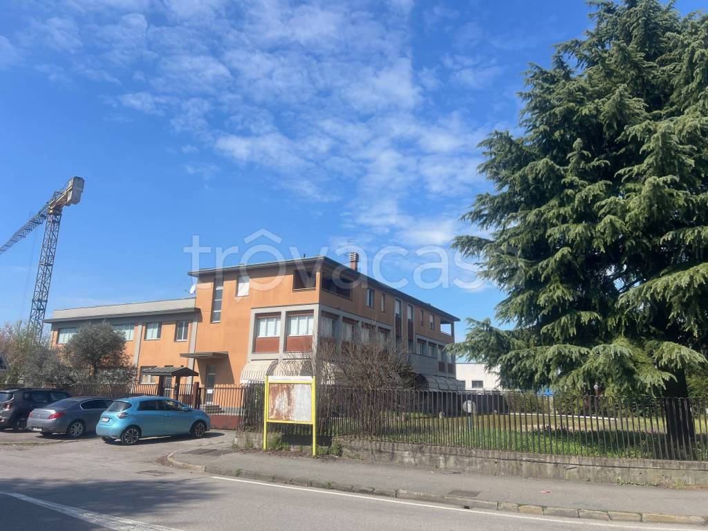 immagine annuncio 7 di 15