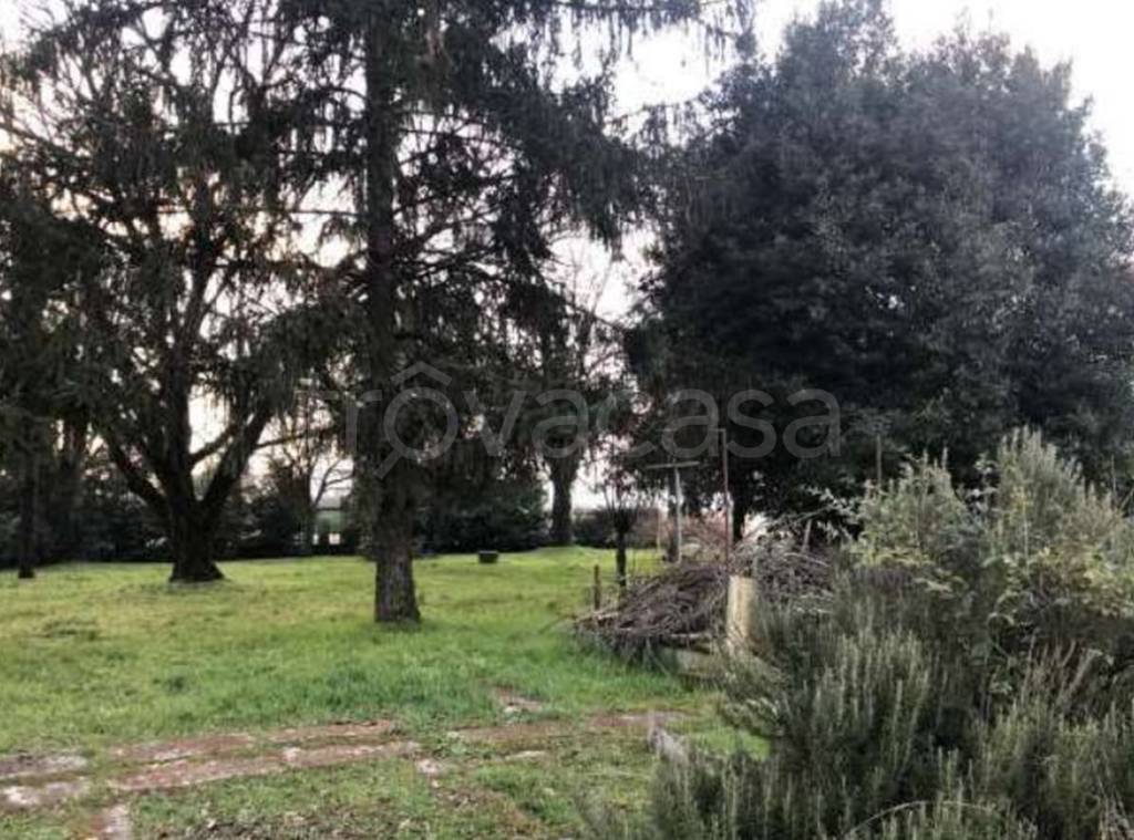 immagine annuncio 2 di 11