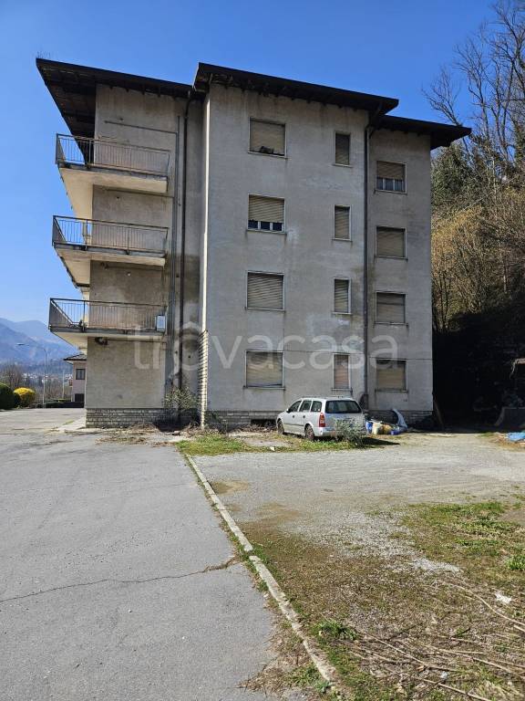 immagine annuncio 5 di 7