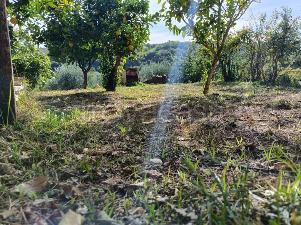 immagine annuncio 9 di 14