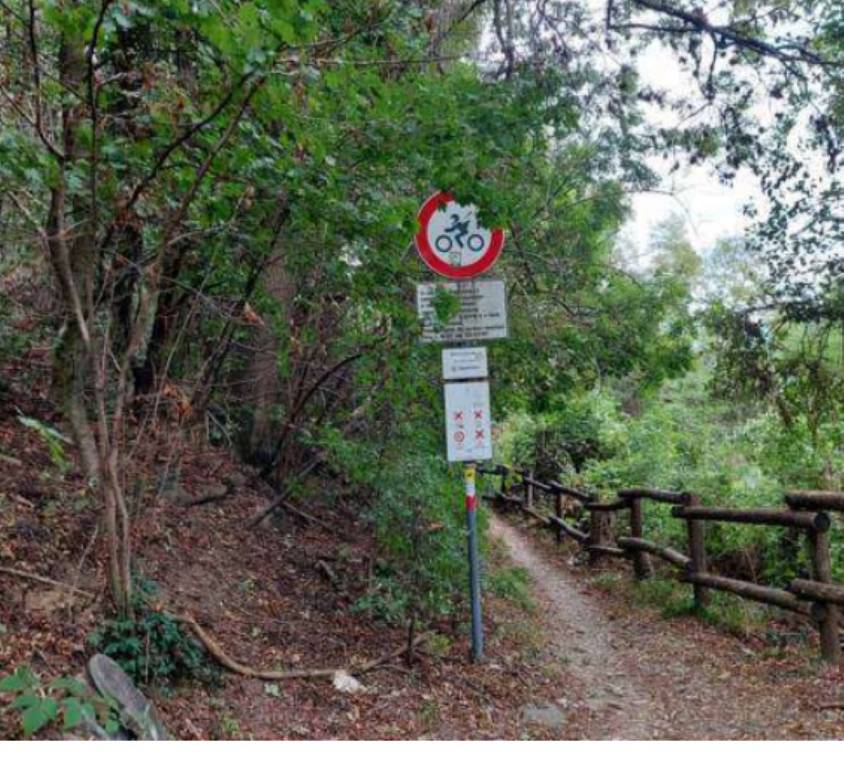 immagine annuncio 8 di 12