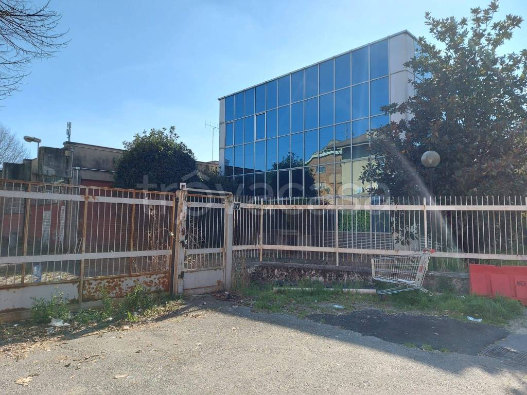 immagine annuncio 8 di 14