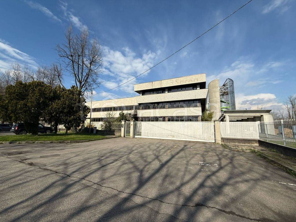 immagine annuncio 8 di 14