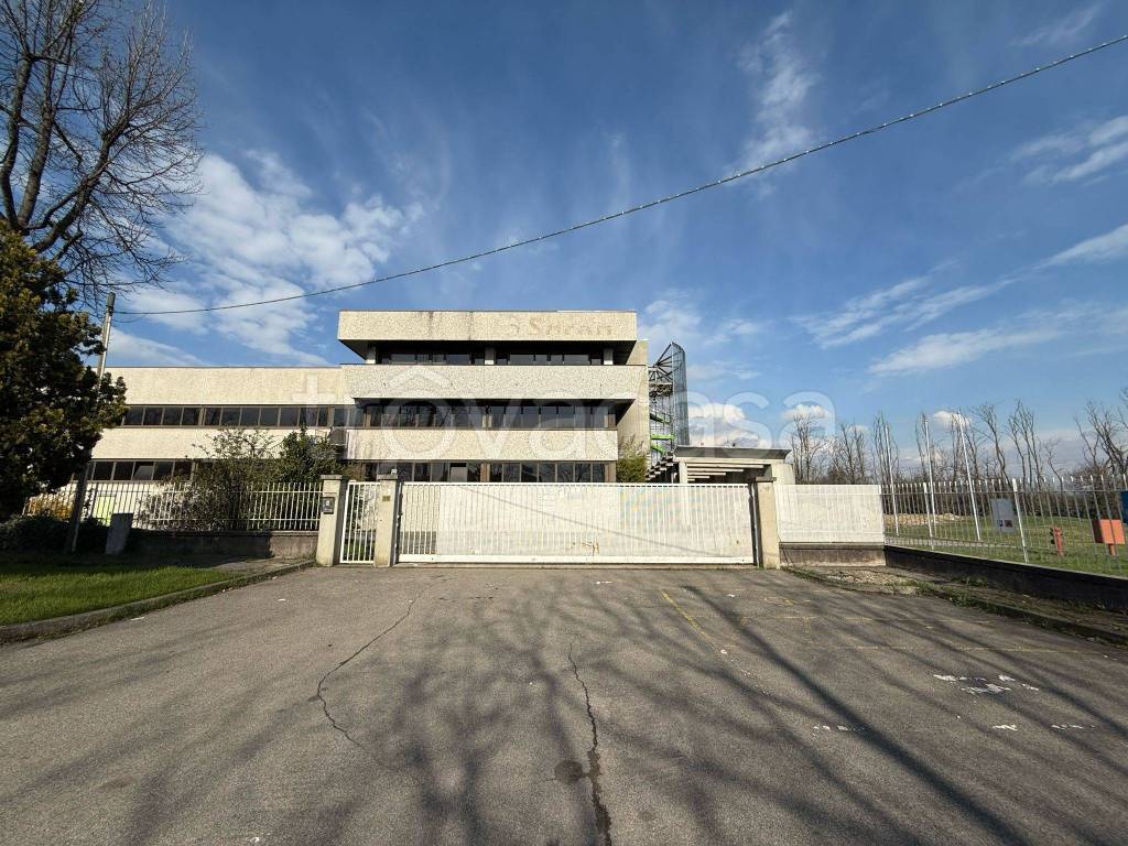 immagine annuncio 10 di 14