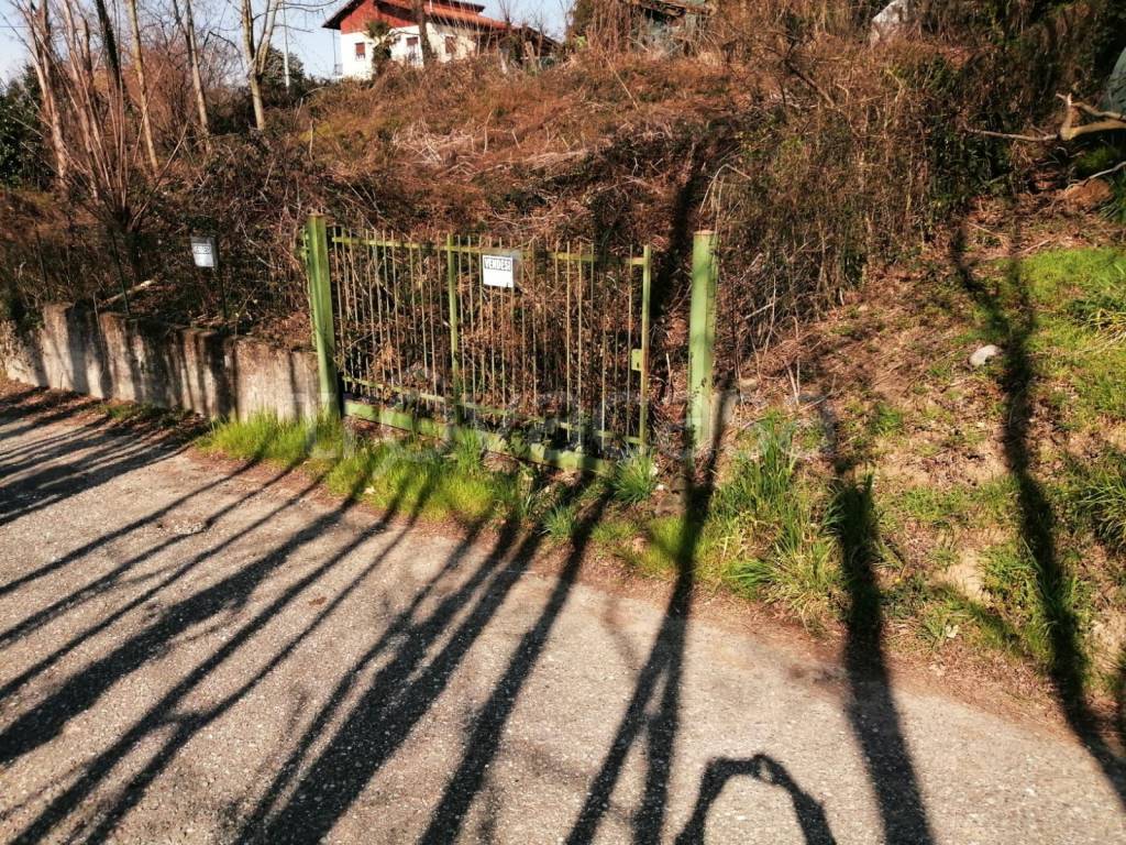 immagine annuncio 4 di 6