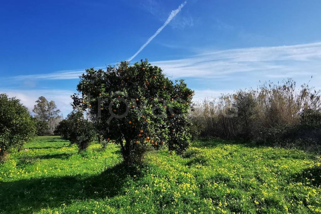 immagine annuncio 6 di 7