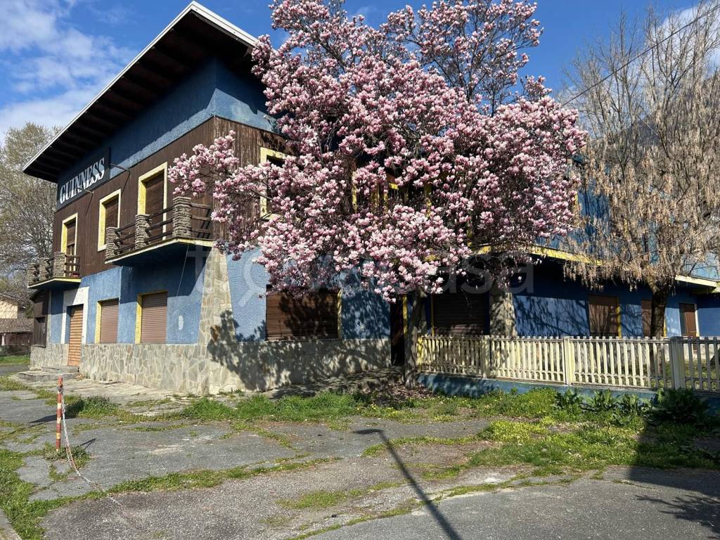 immagine annuncio 4 di 15