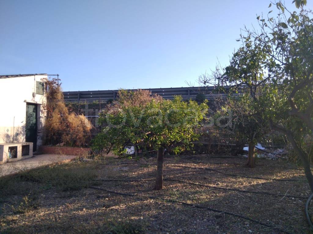 immagine annuncio 4 di 14