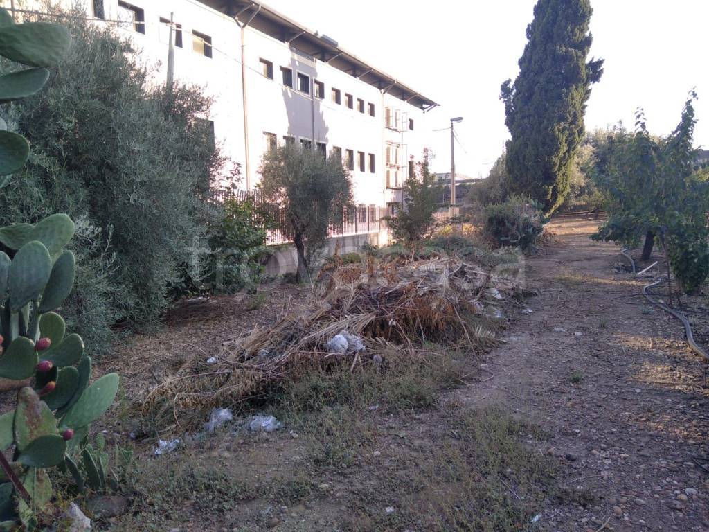 immagine annuncio 7 di 14