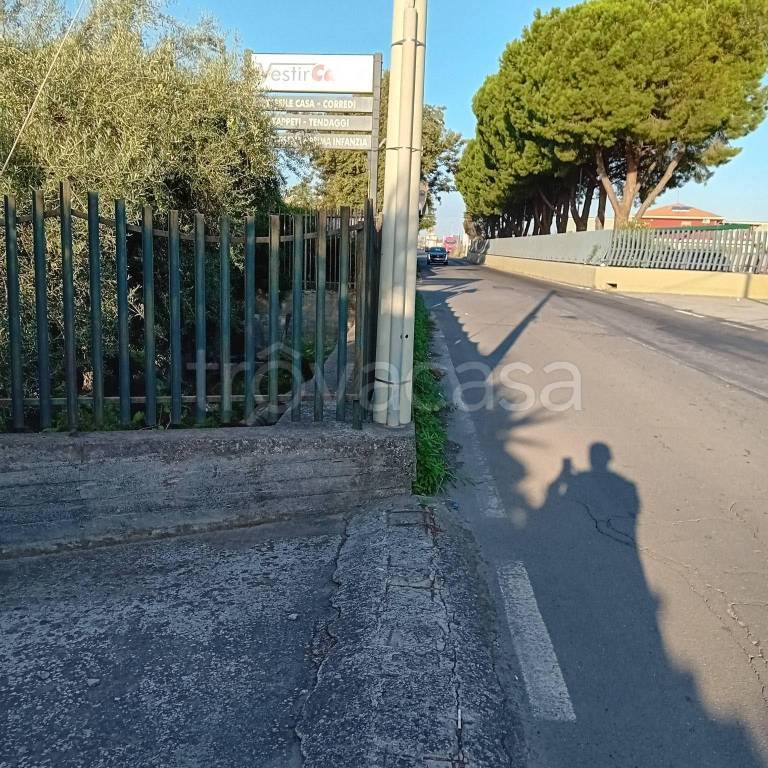 immagine annuncio 2 di 14
