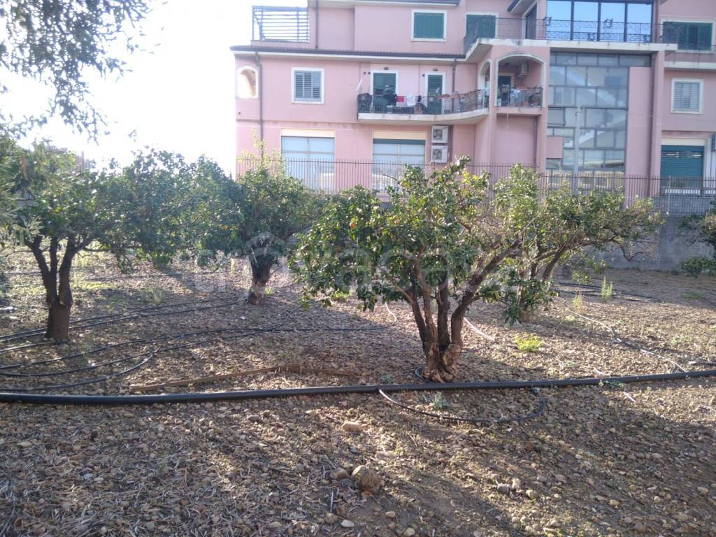 immagine annuncio 10 di 14