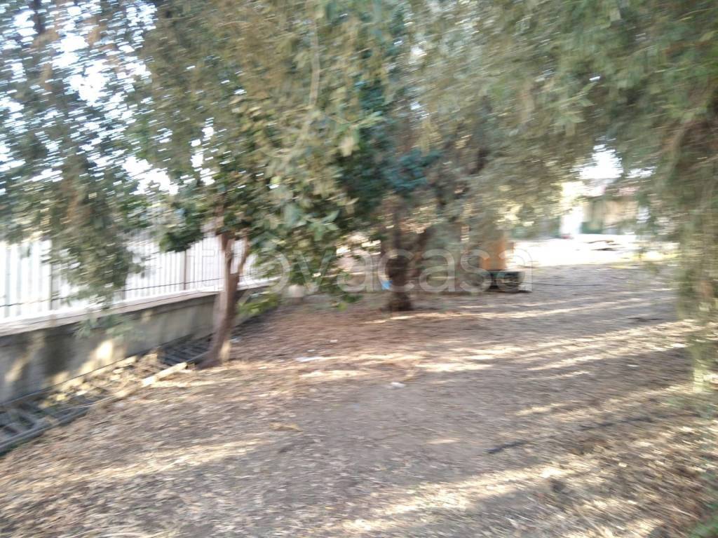 immagine annuncio 12 di 14