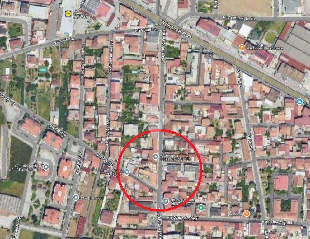 immagine annuncio 9 di 10