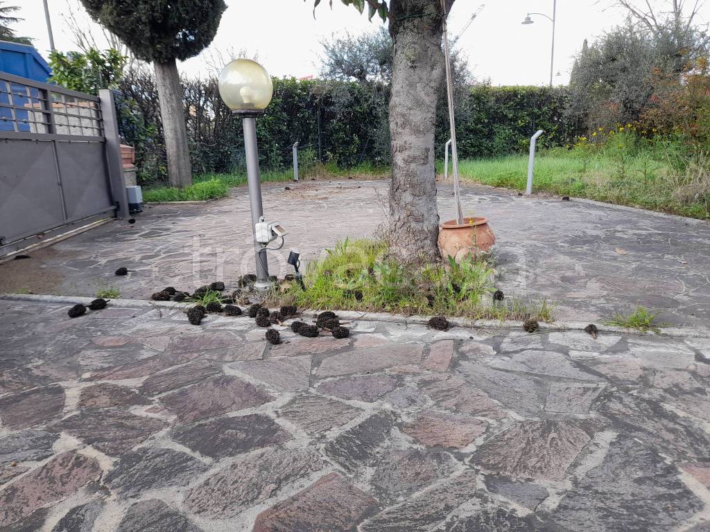 immagine annuncio 10 di 13