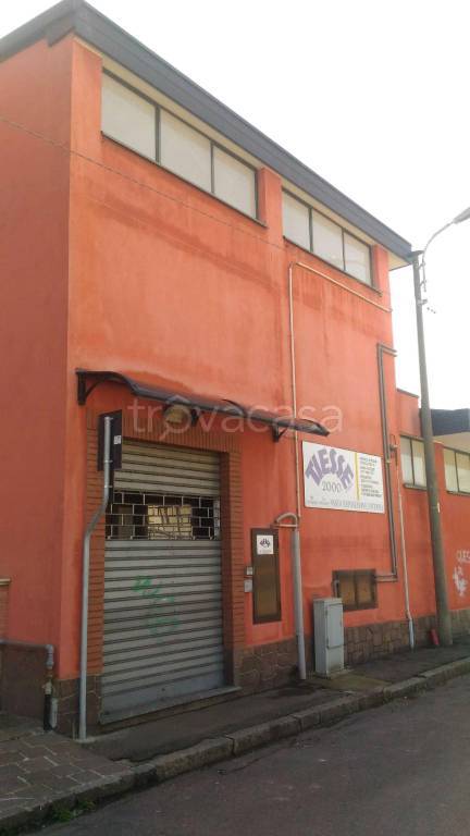 immagine annuncio 2 di 15