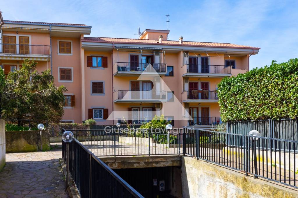 immagine annuncio 6 di 15
