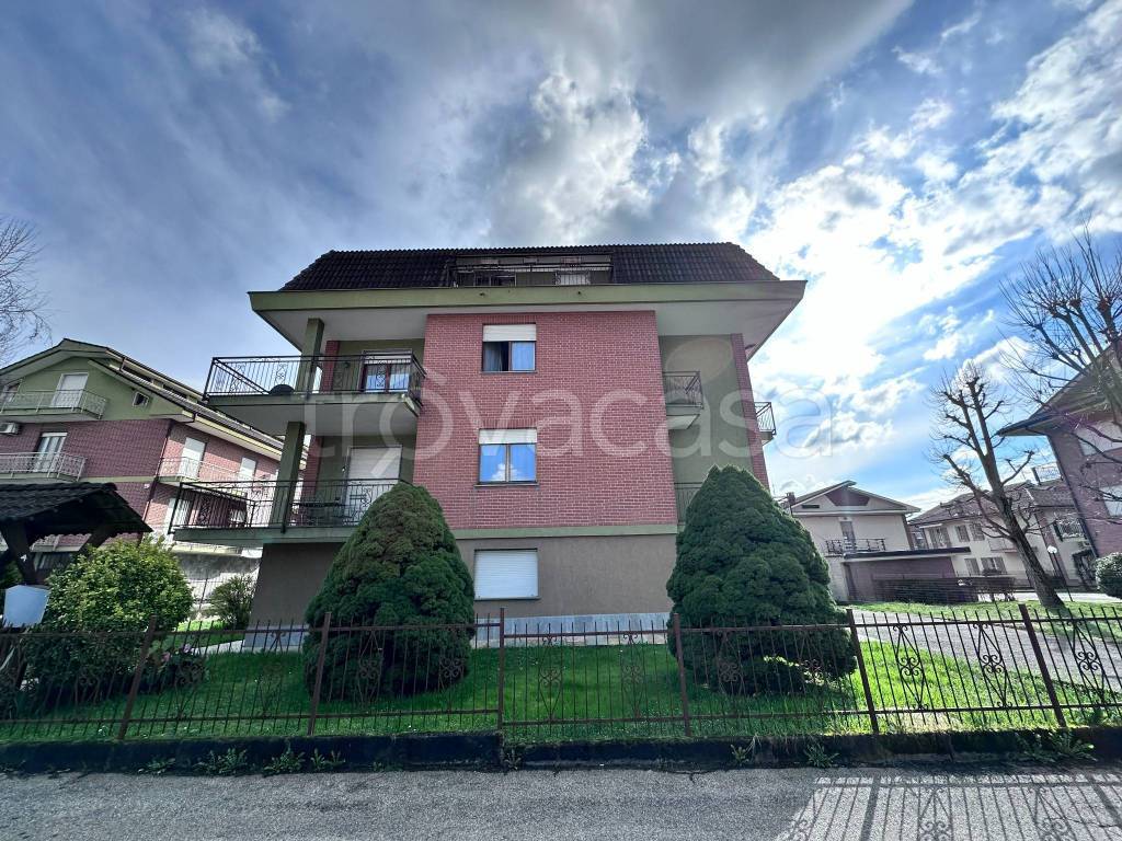 immagine annuncio 1 di 15
