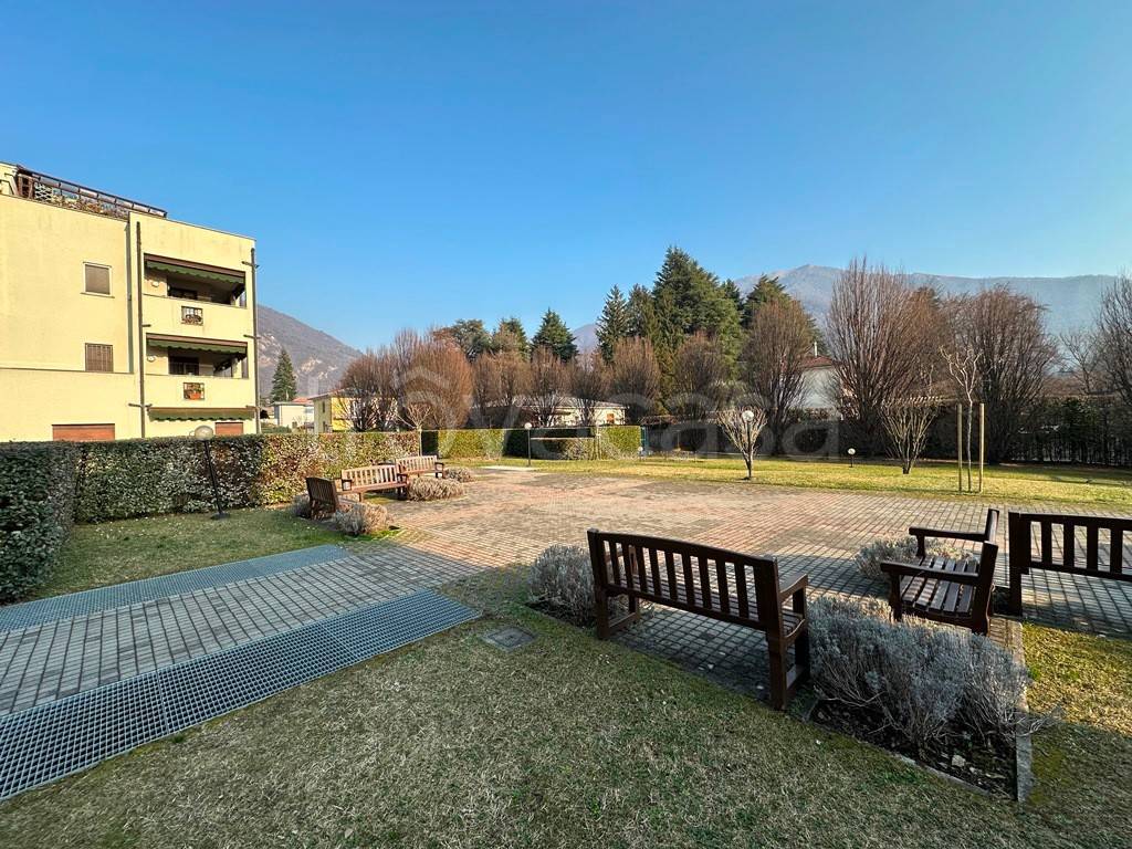 immagine annuncio 7 di 15