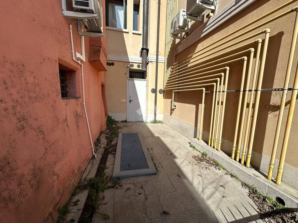 immagine annuncio 12 di 13
