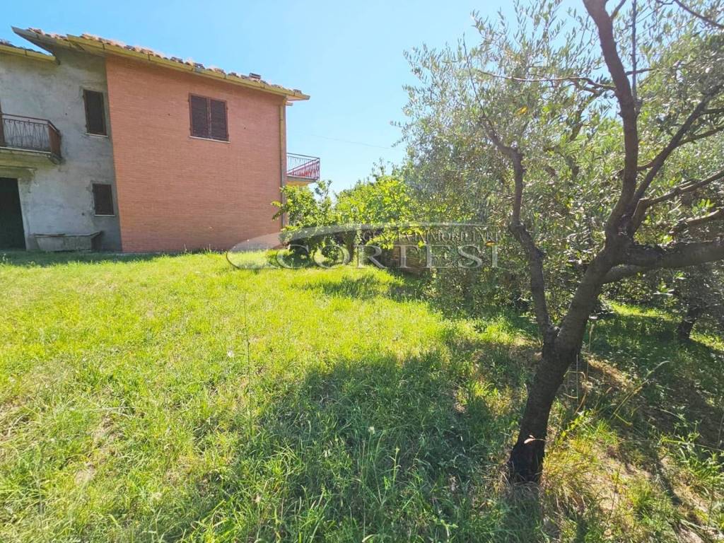 immagine annuncio 5 di 7