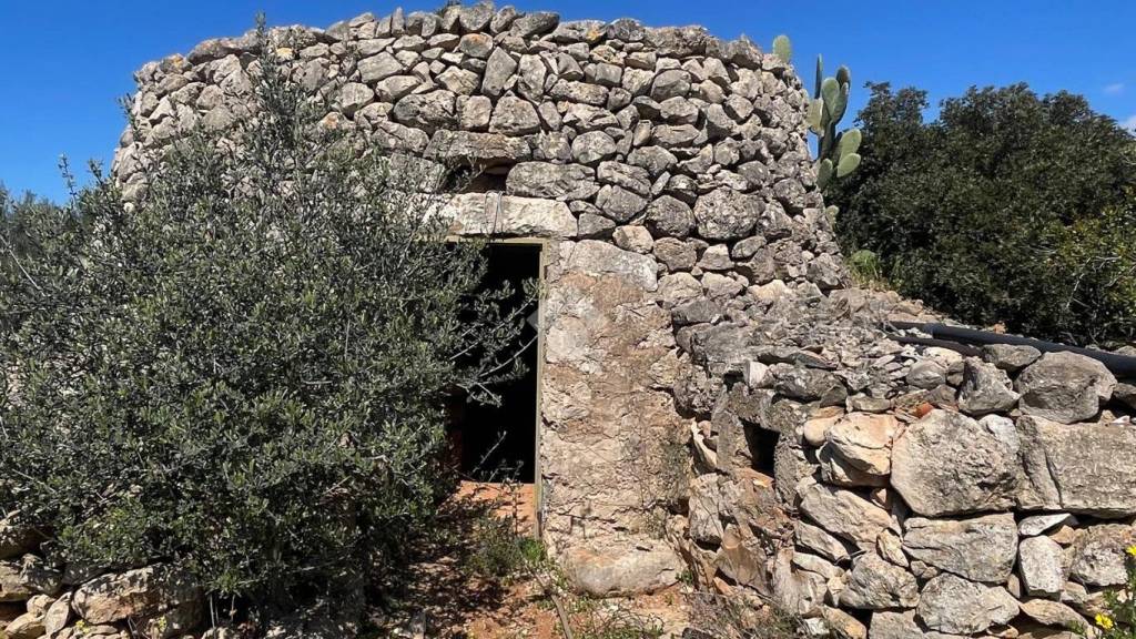 immagine annuncio 3 di 14