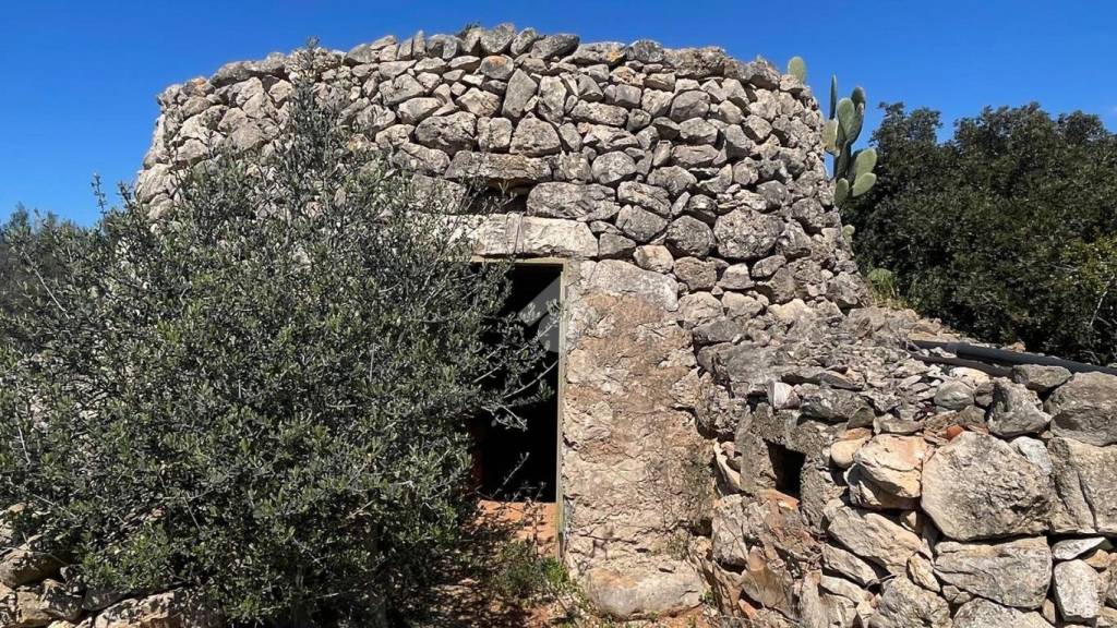 immagine annuncio 4 di 14