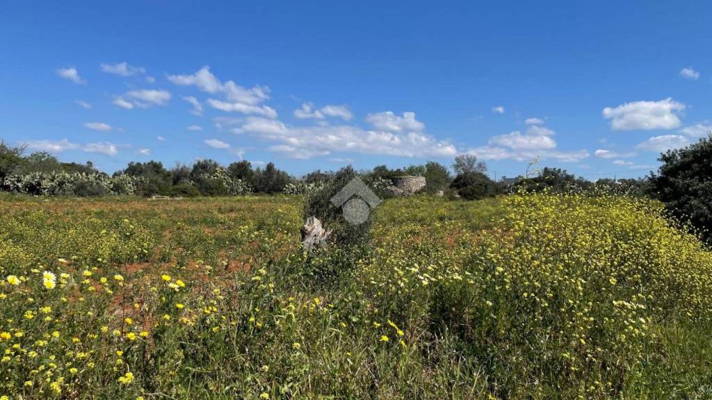 immagine annuncio 7 di 14