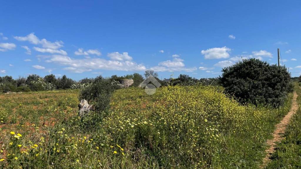 immagine annuncio 8 di 14