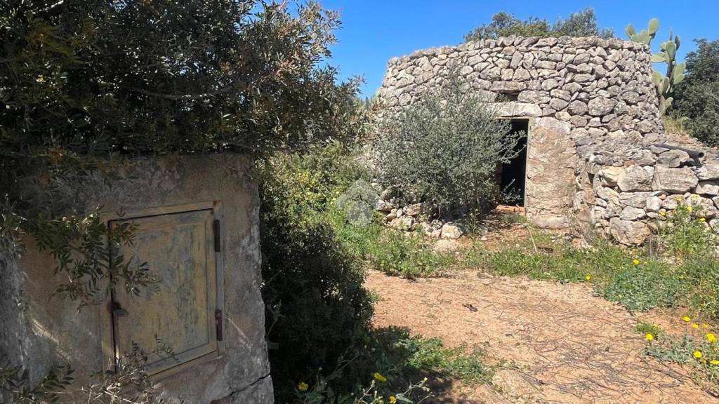 immagine annuncio 10 di 14