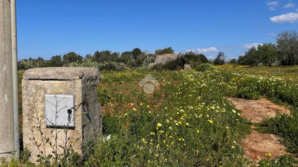 immagine annuncio 12 di 14