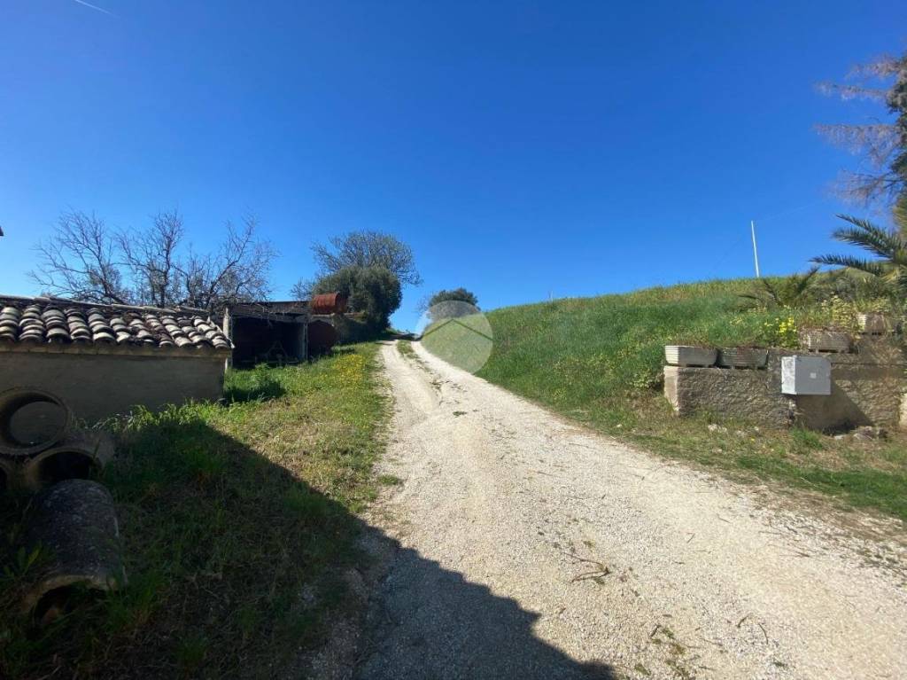 immagine annuncio 11 di 13