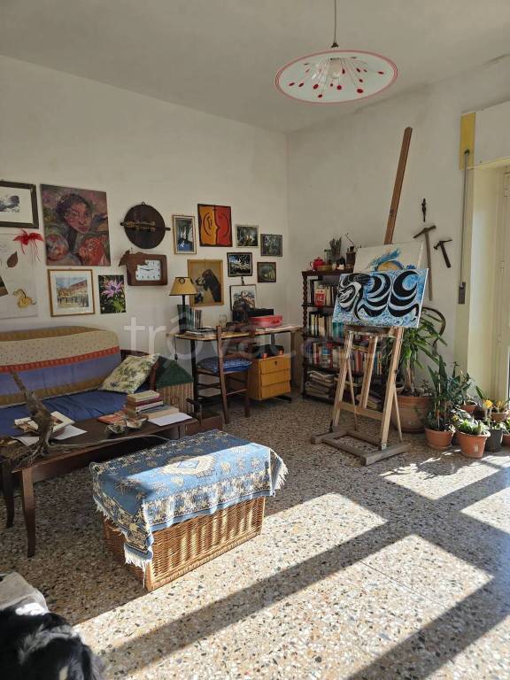 immagine annuncio 9 di 14