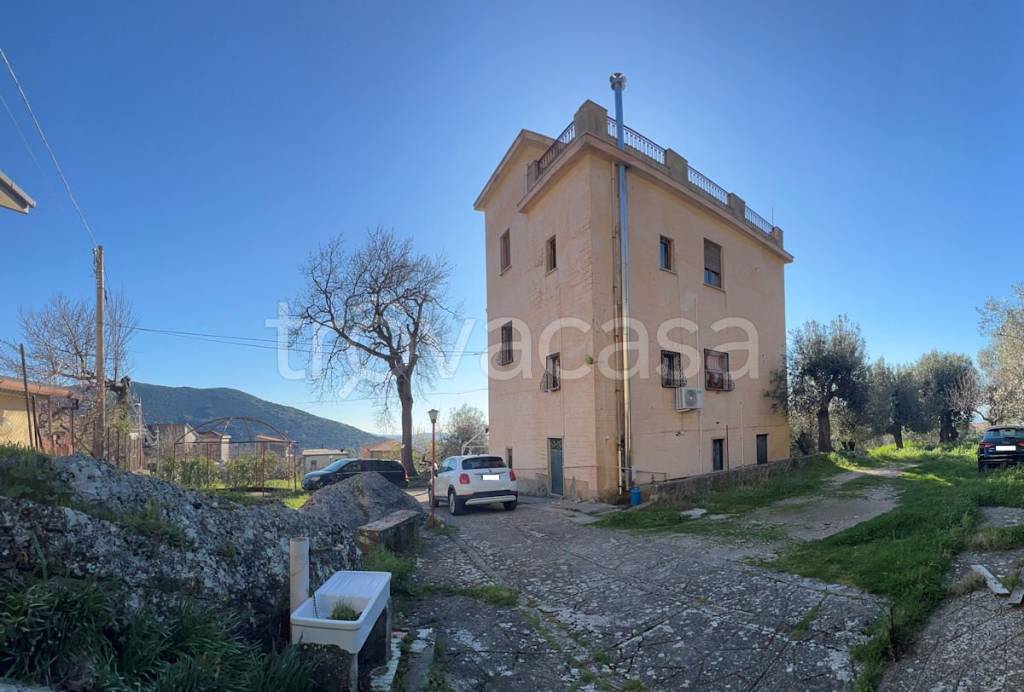 immagine annuncio 4 di 12