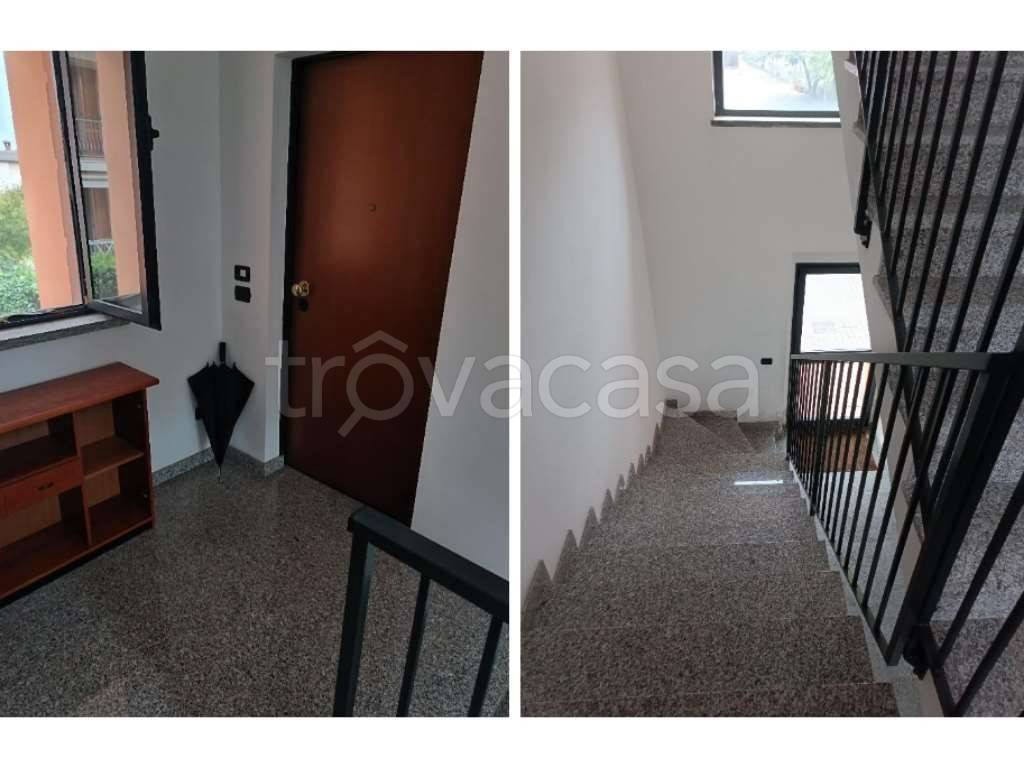 immagine annuncio 1 di 12