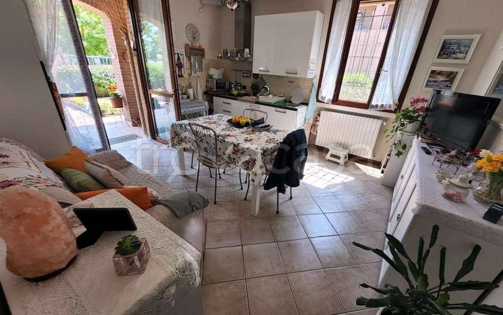 immagine annuncio 3 di 12