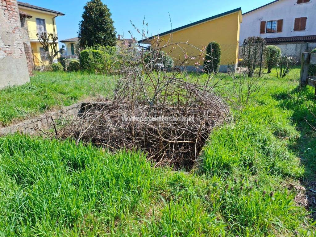 immagine annuncio 3 di 14