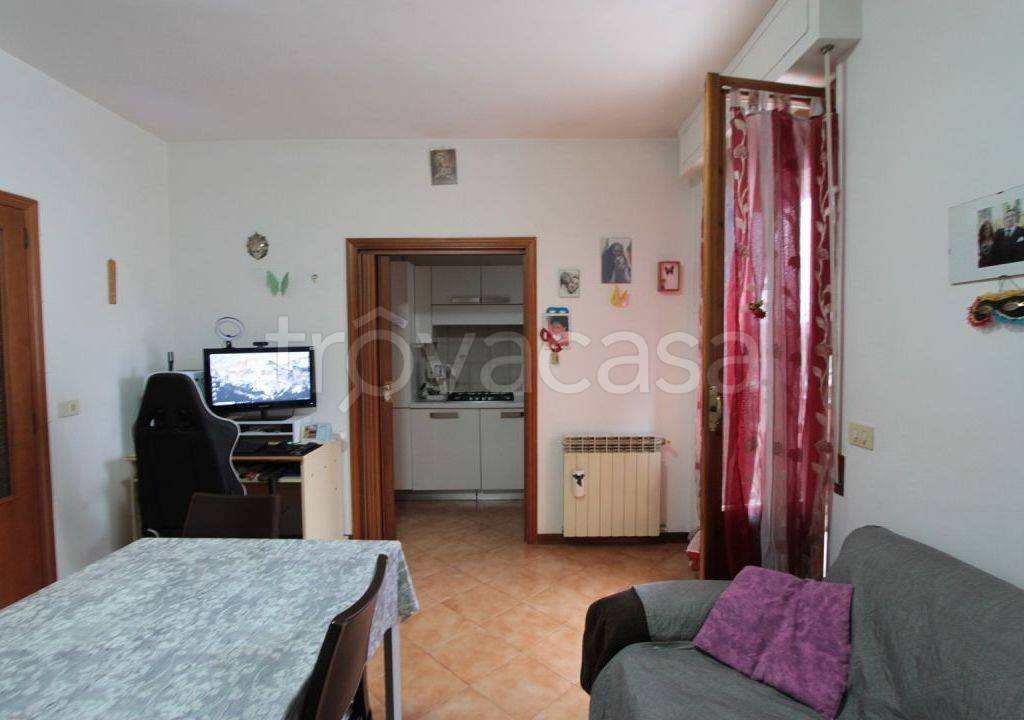 immagine annuncio 5 di 14