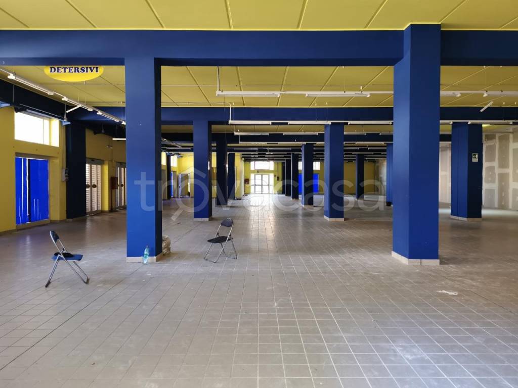 immagine annuncio 9 di 11