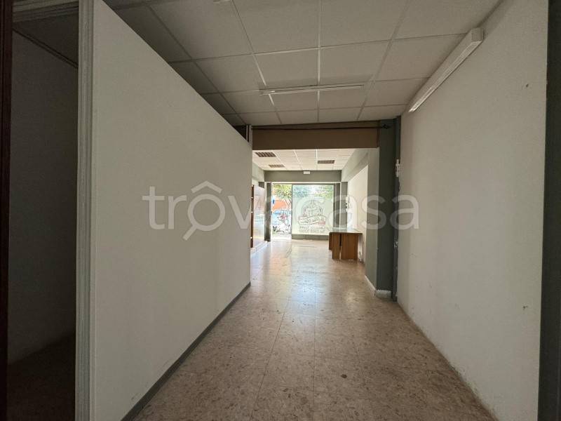 immagine annuncio 4 di 9