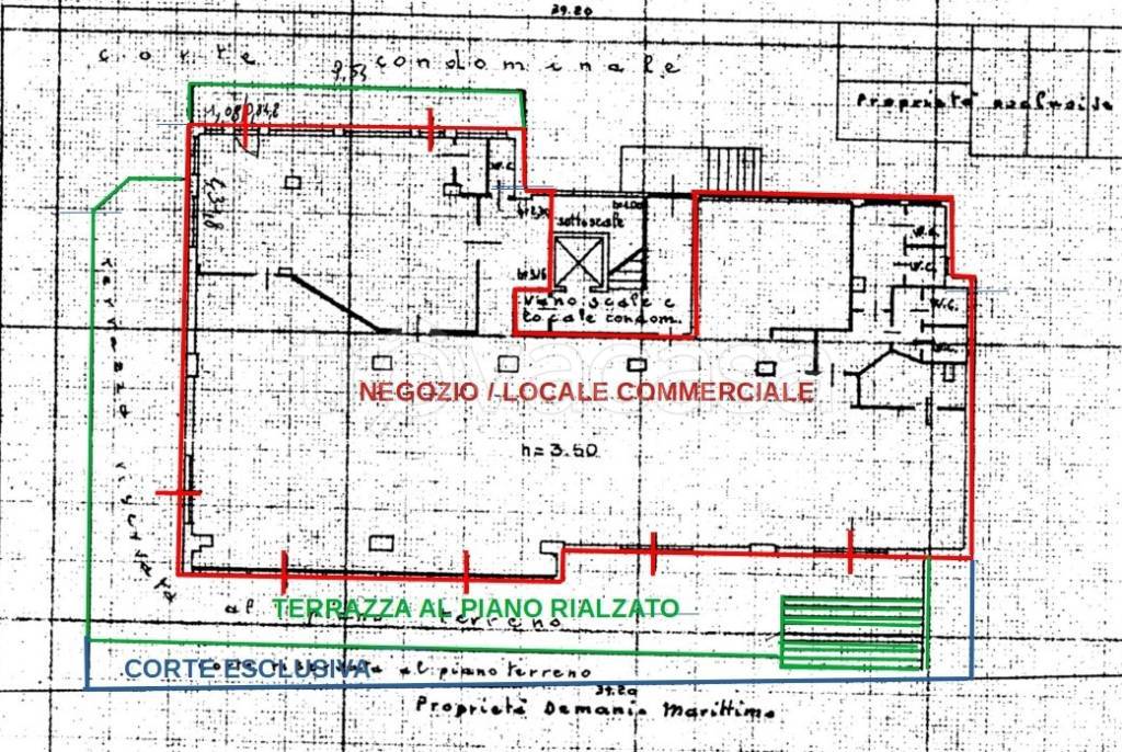 immagine annuncio 2 di 6