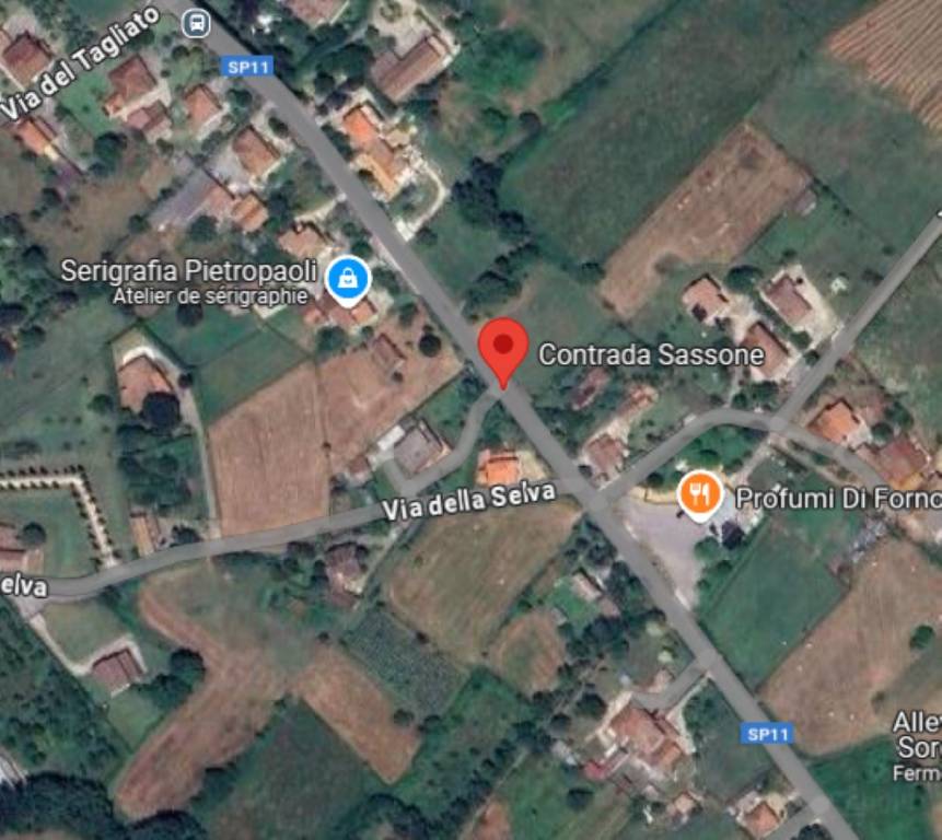 immagine annuncio 10 di 13