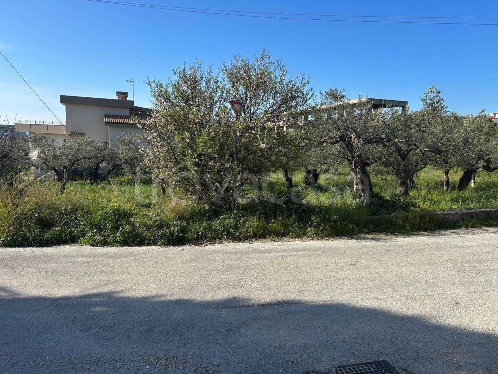 immagine annuncio 6 di 9